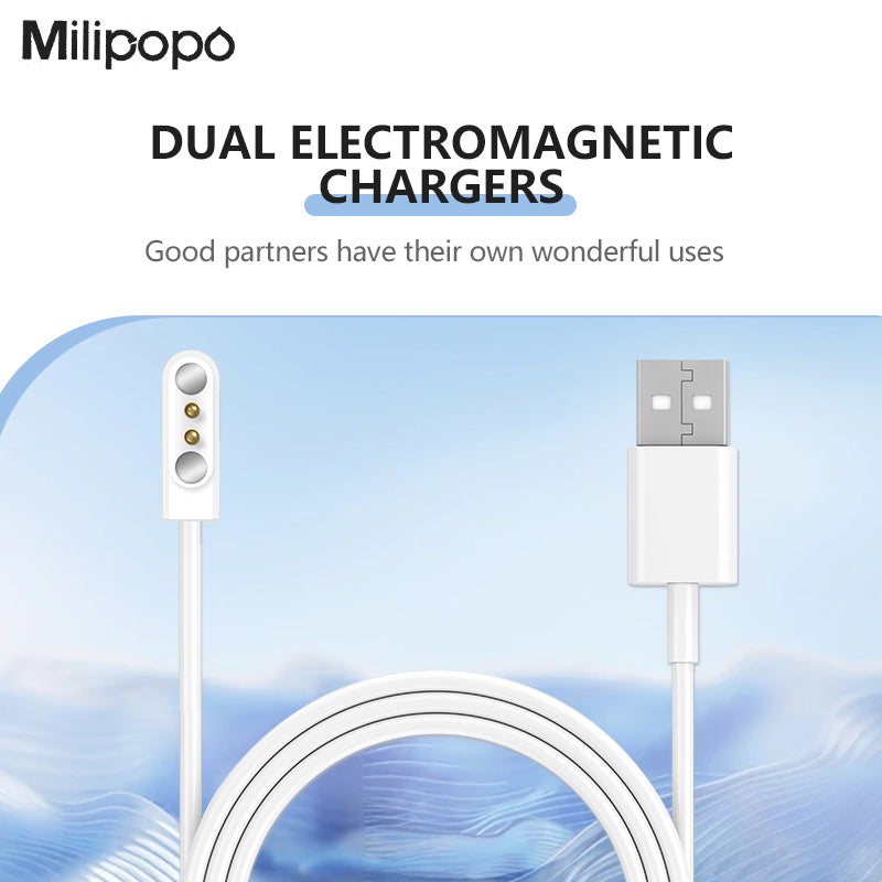 Magnetic Charger